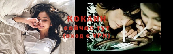 таблы Богородицк
