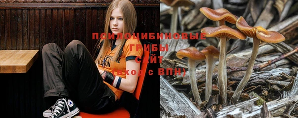 MDMA Premium VHQ Богданович